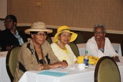 SHSAA 45th Reunion (7)